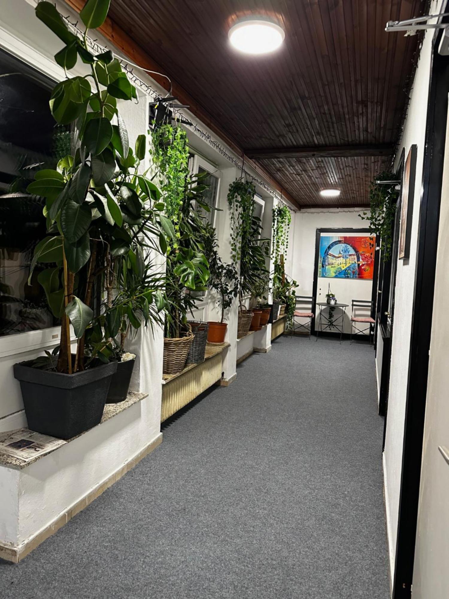 Hostel Lovely Rooms, City Center, Shared Bathroom, Windows To Corridor Філлах Екстер'єр фото