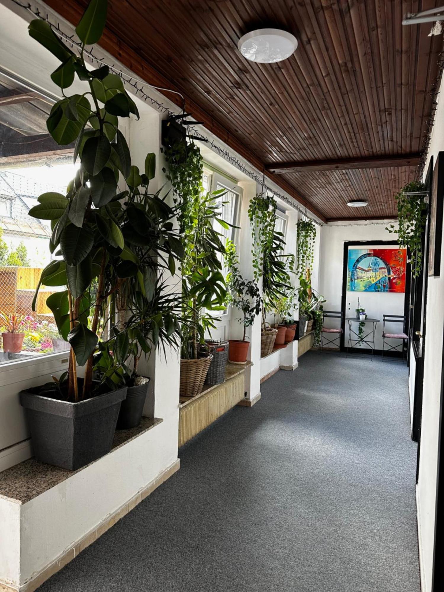 Hostel Lovely Rooms, City Center, Shared Bathroom, Windows To Corridor Філлах Екстер'єр фото
